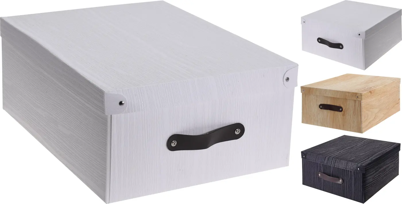 Aufbewahrungsbox 29x21x12cm CY1000000