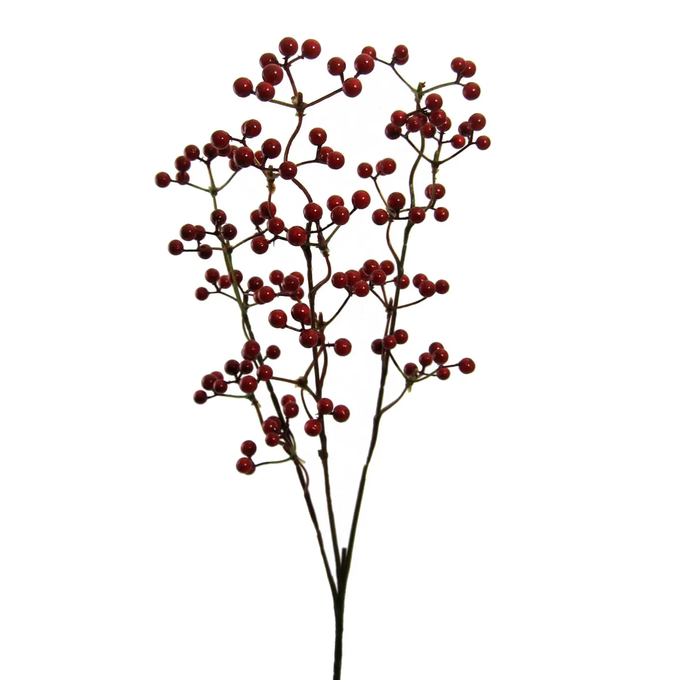 Beerenzweig rot -  BOGUSLAV