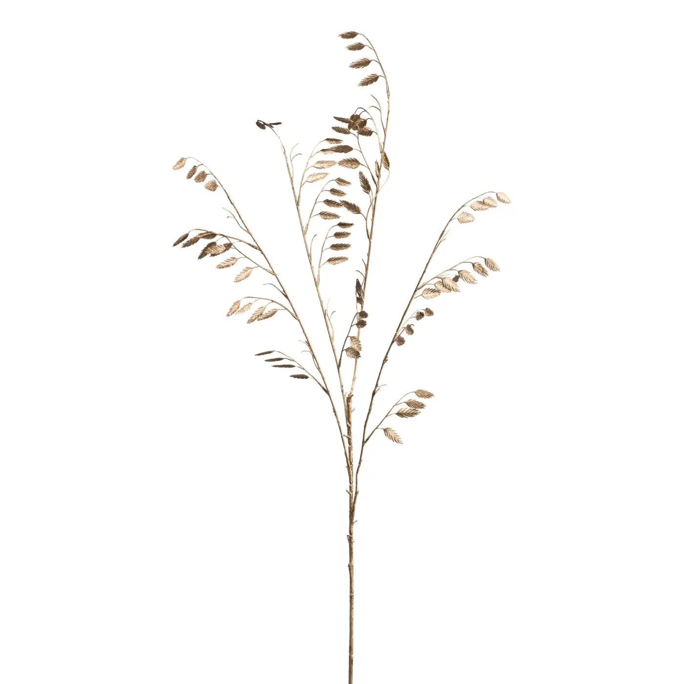 Brizagras gold -  BLEON