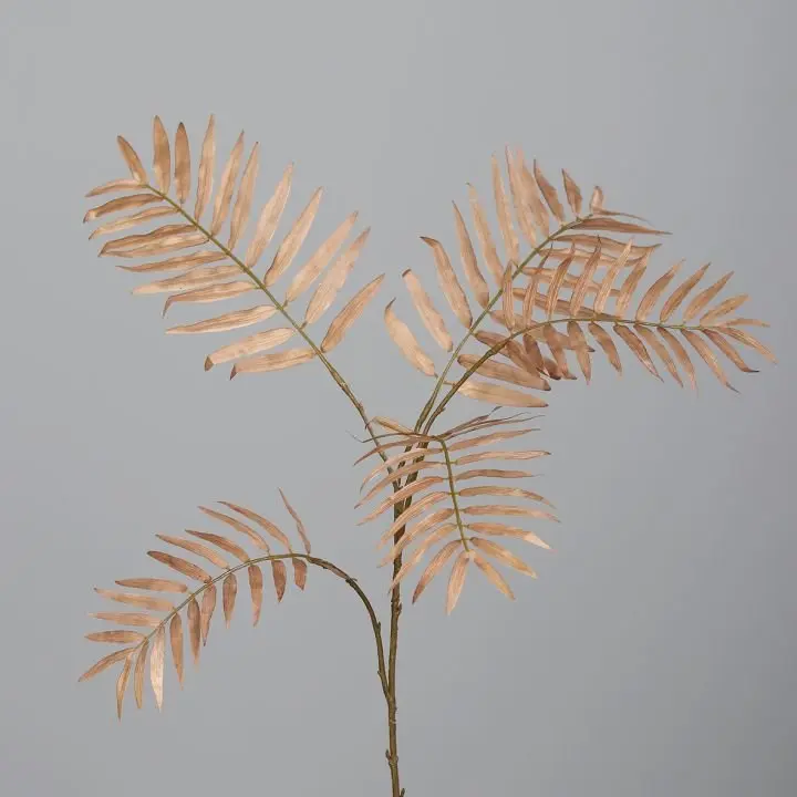 Chicozweig 80cm