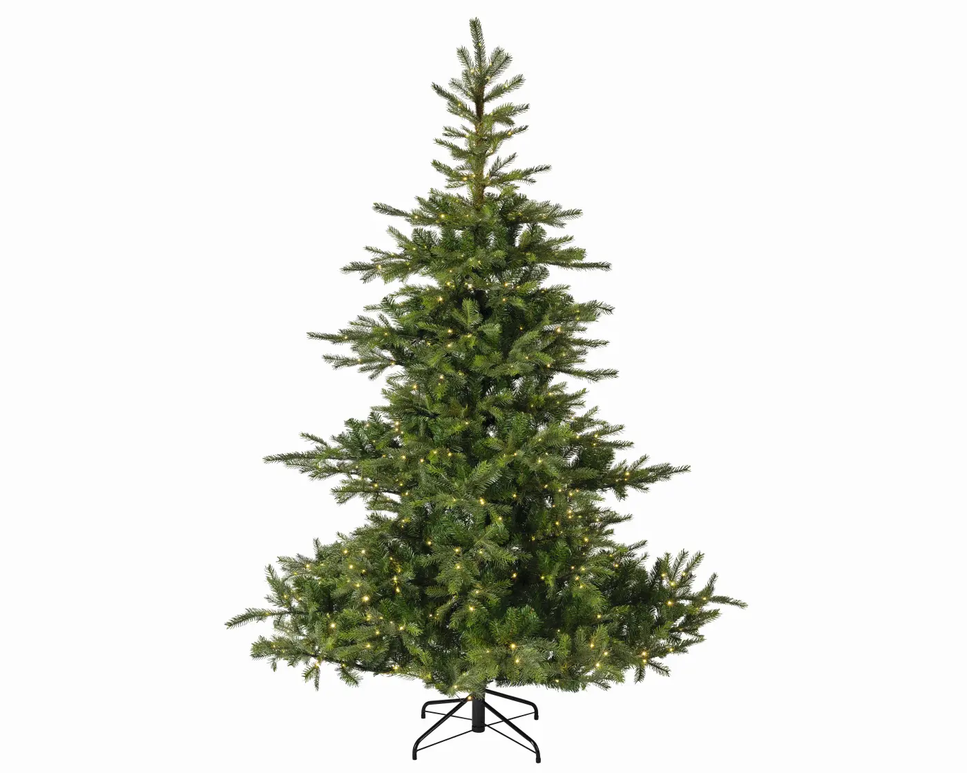 Grandis Tanne 670120