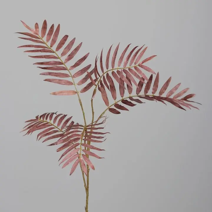 Chicozweig 80cm