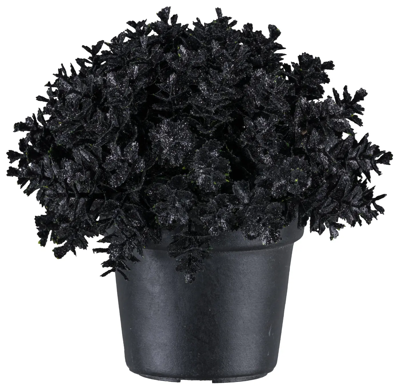 Eukalyptustöpfchen 24 schwarz -  DIETERICH