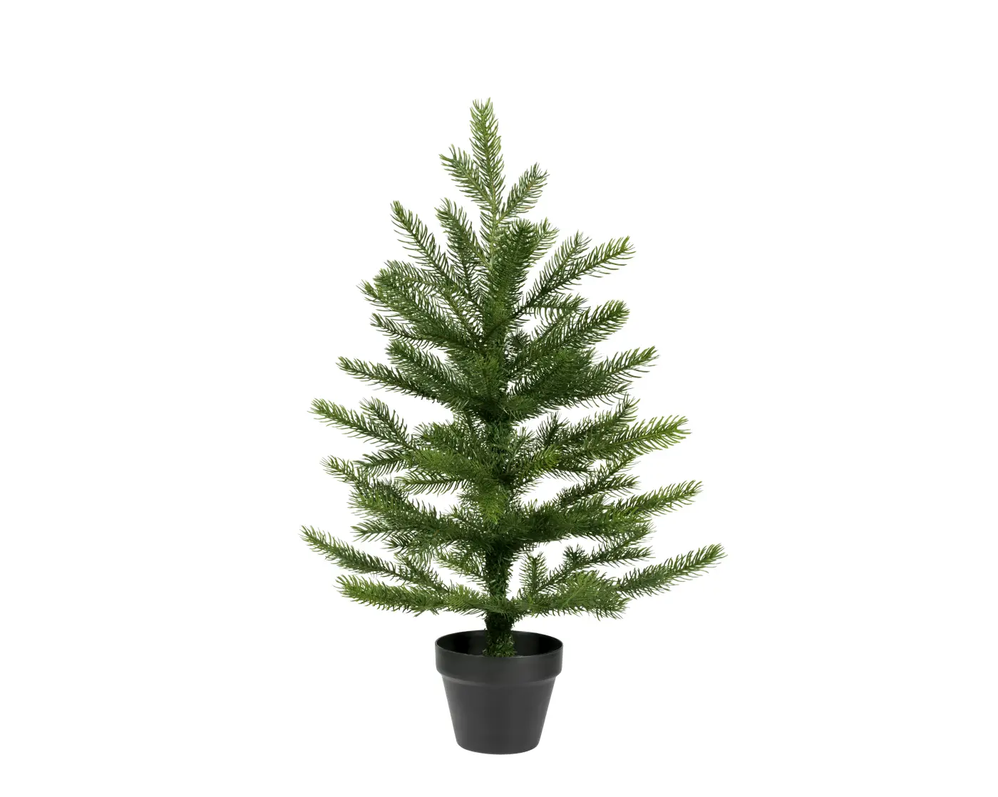Grandis Mini-Baum