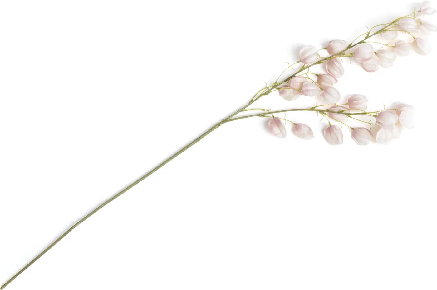 Physalis Spray ca. 95 cm