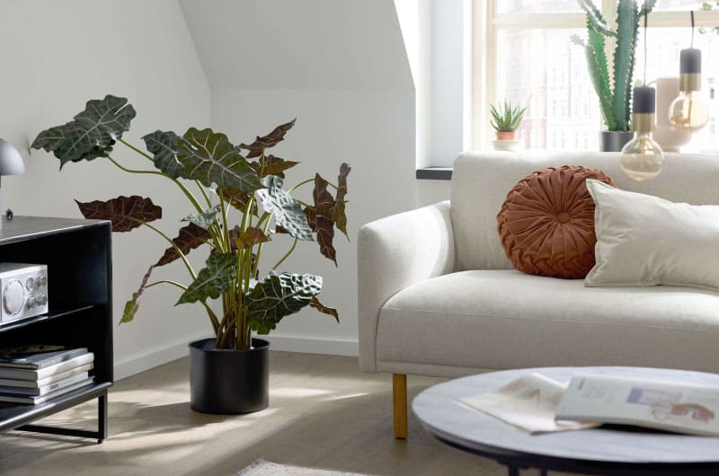 roomio-wohnzimmereinrichtung-bei-moebel-wallach_800x800