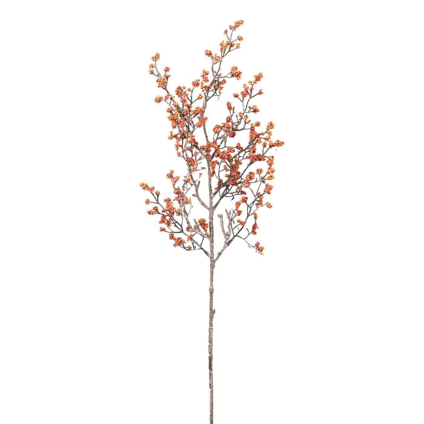 Beerenzweig 70 orange -  JASCHA