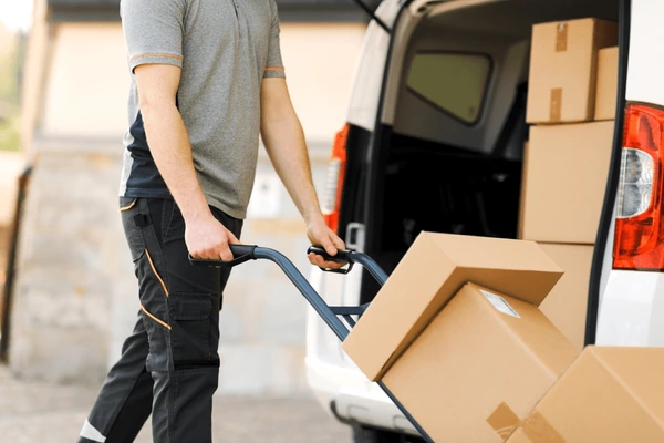 professional-delivery-guy-pushing-hand-600nw-2496886759.jpg